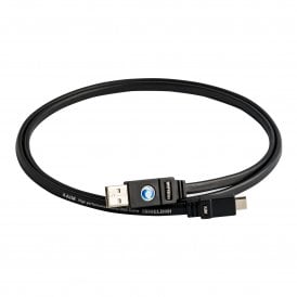 USAC USBC Interconnect